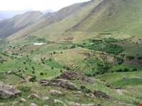 زیستگاه شاهو