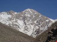 زیستگاه شاهو