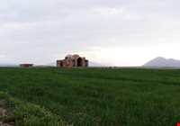 allameh shahrestani tomb