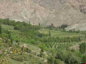 دهستان میانکوه درگز