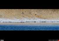 دریاچه بزنگان