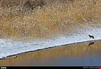 دریاچه بزنگان