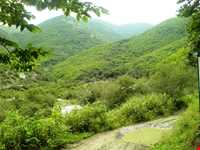 Aynaloo Forest and Protected Area