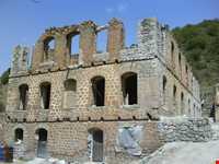 Aynaloo Forest and Protected Area