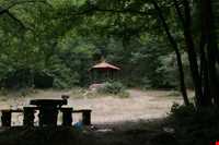 Aynaloo Forest and Protected Area