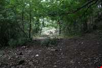 Aynaloo Forest and Protected Area