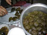 دلمه برگ مو