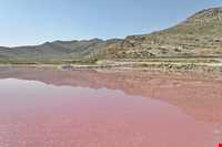 دریاچه مهارلو