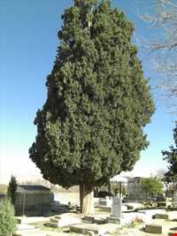 منطقه گردشگری مهارلو