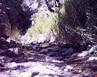 تفرجگاه گرماب