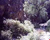 تفرجگاه گرماب