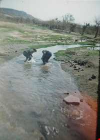 کوه و آبادی ییلاقی اسفره ( سیبره )