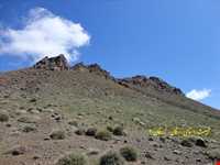 رودخانه زرقان ( کمایستان )