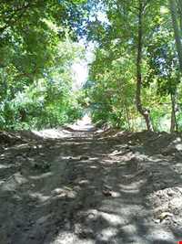 روستای زرقان