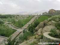 چشمه رسول الله