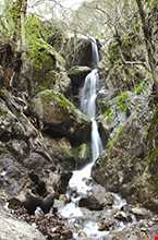 منطقه گردشگری دره ارزنه