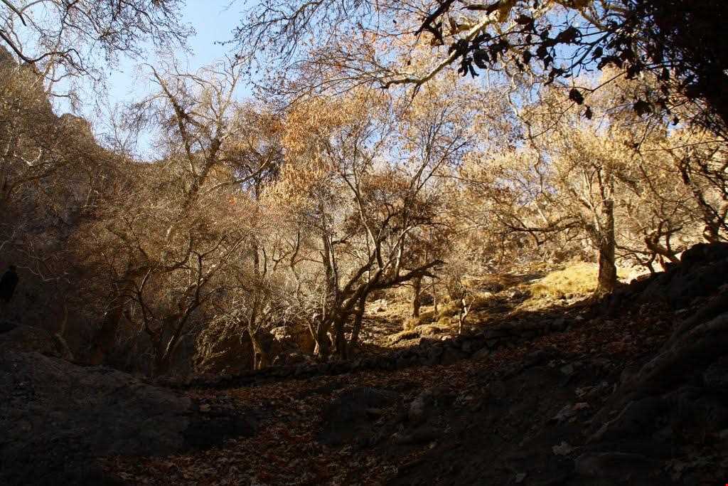 Arzaneh Tourist Area