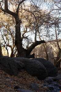 Arzaneh Tourist Area