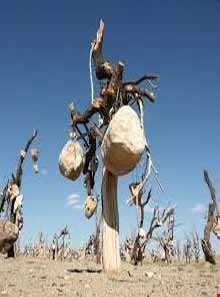 باغ سنگی بلورد سیرجان