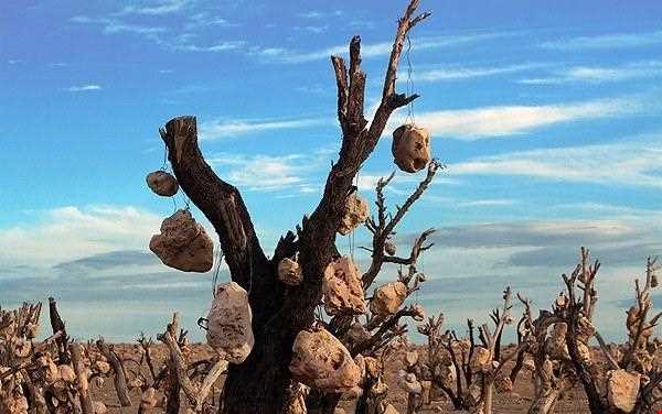 Bagh-e Sangi Bolourd