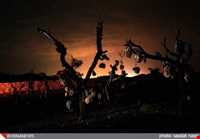 Bagh-e Sangi Bolourd