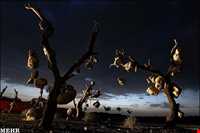 Bagh-e Sangi Bolourd