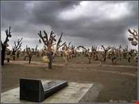 Bagh-e Sangi Bolourd