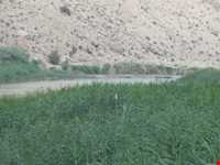 رودخانه قره آغاج