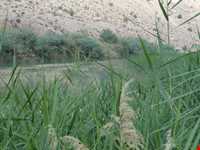 رودخانه قره آغاج