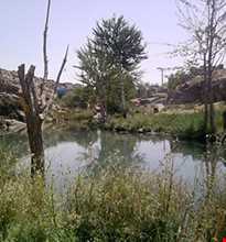 تفرجگاه قصریعقوب