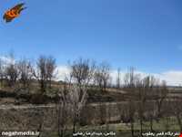 تفرجگاه قصریعقوب