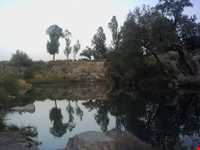 تفرجگاه قصریعقوب