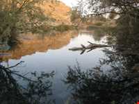 تفرجگاه قصریعقوب