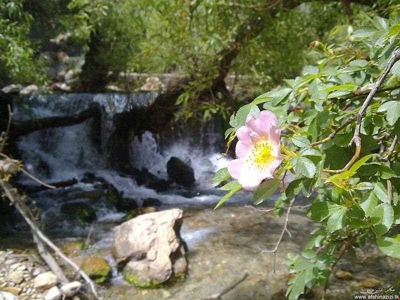 سرچشمه تنگ گجستان‬‎