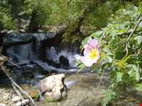 سرچشمه تنگ گجستان‬‎