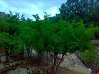 سرچشمه تنگ گجستان‬‎