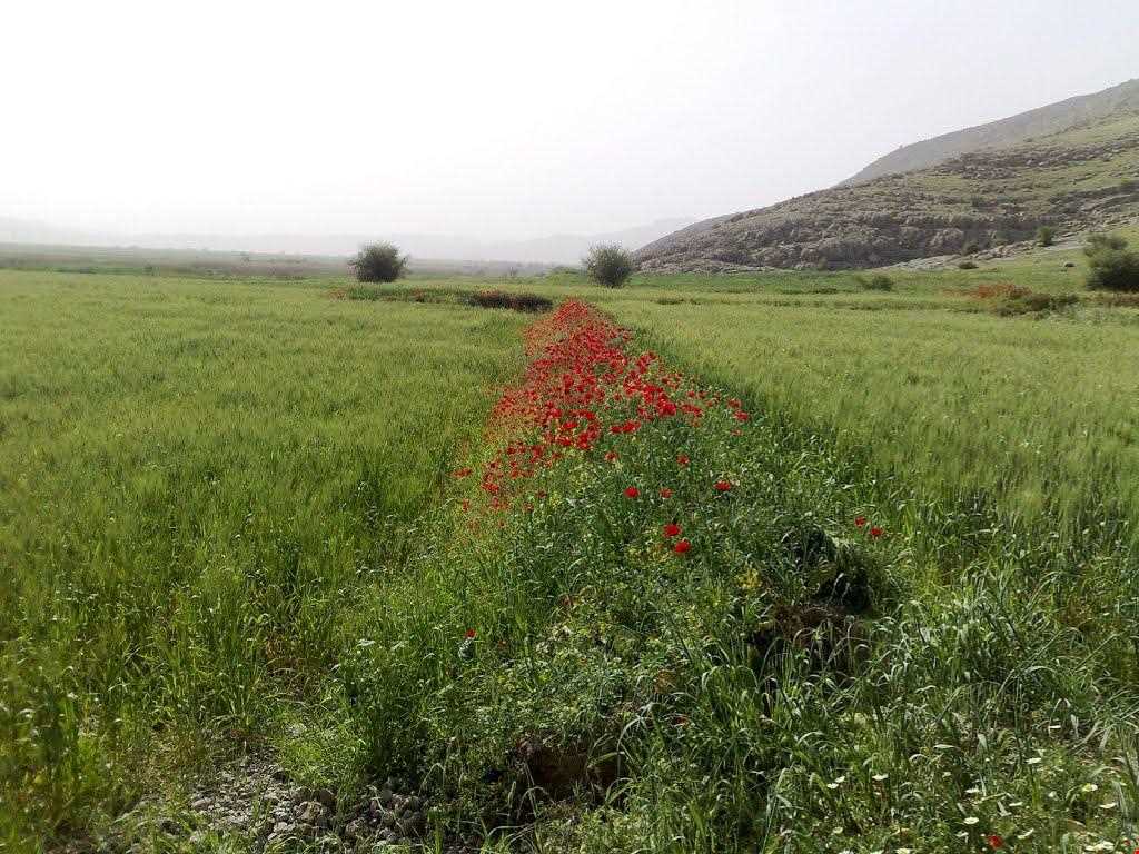 سراب سیاه منصورآباد