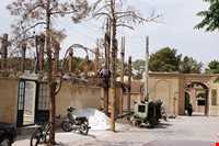 باغ موزه هرندی