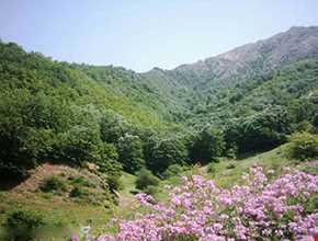 روستای درکش