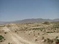 قلعه تاریخی علی آباد ( روستای یام )