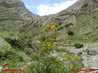 آبشار اسفجیر