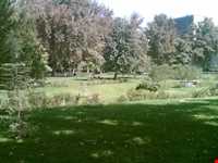 Park-e Shahr