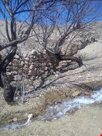 روستا و کوه دربند