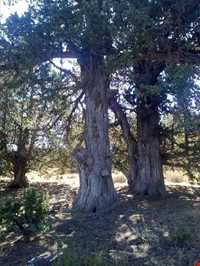 روستا و کوه دربند