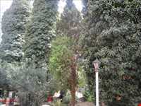 آرامگاه مشتاق علیشاه کرمان