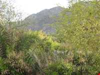 منطقه نمونه گردشگری دلفارد جیرفت