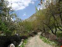 منطقه نمونه گردشگری دلفارد جیرفت