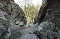 منطقه نمونه گردشگری دلفارد جیرفت