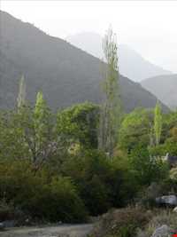 منطقه نمونه گردشگری دلفارد جیرفت