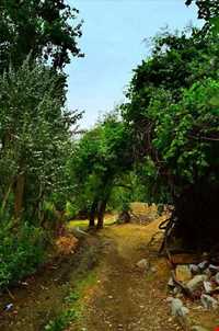 منطقه نمونه گردشگری دلفارد جیرفت